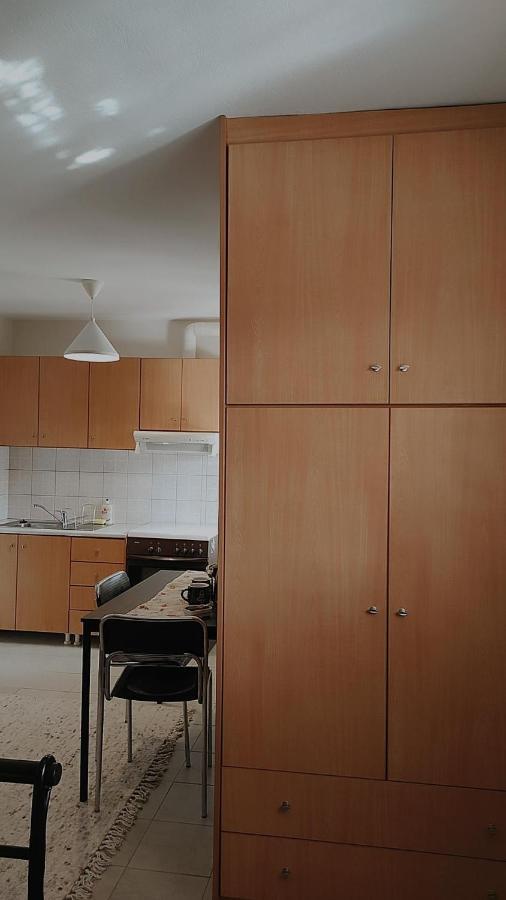 Amaltheia Studio Apartamento Ioánina Exterior foto